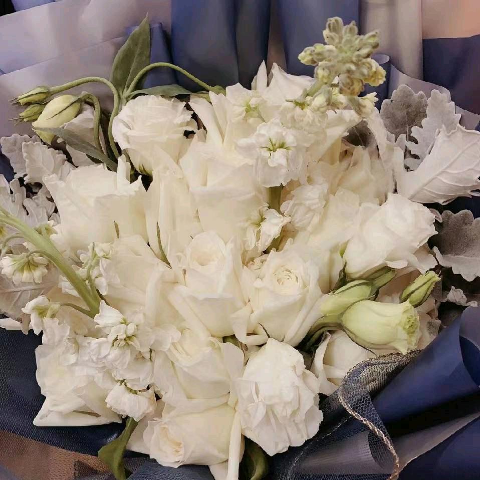 往后余生 请多多指教