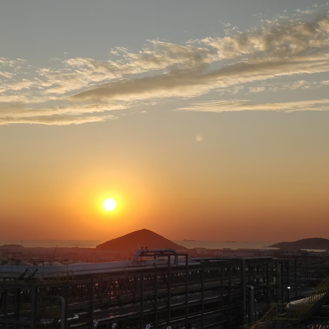 野狼