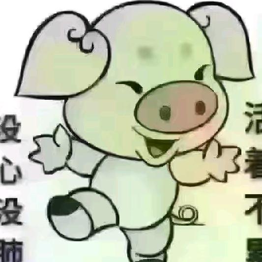 人生的过客