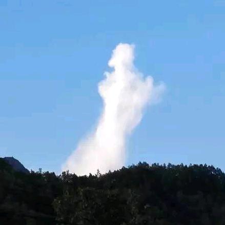 胖了是福头像