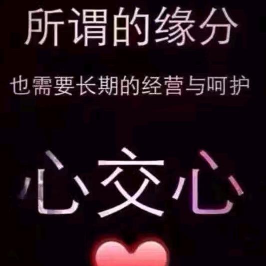 醉梦非烟