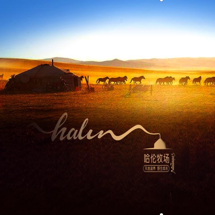 海拉尔区义和哈伦火锅店