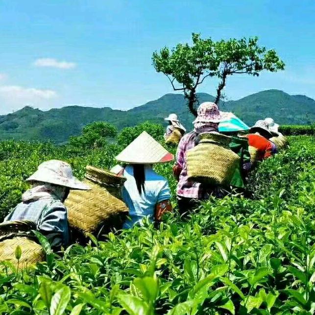 用户864154889顺其自然