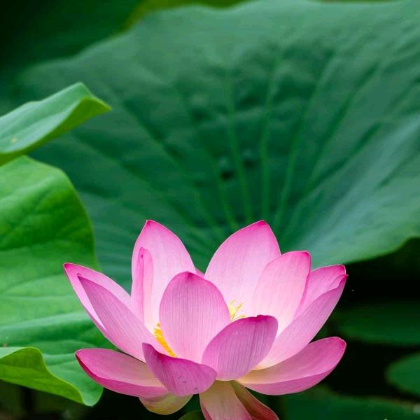 用户1730046385419祝你平安