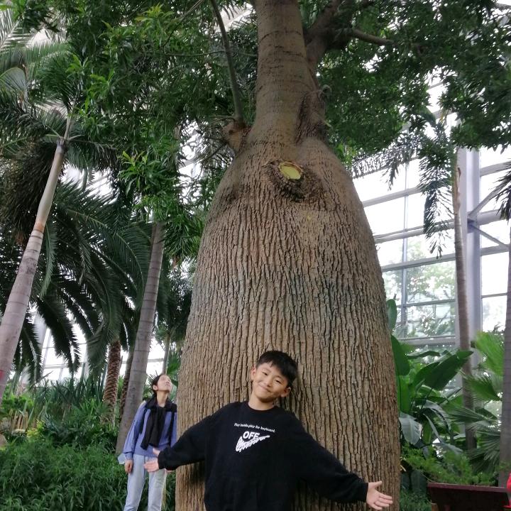 慧