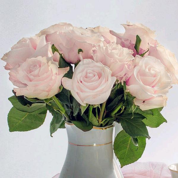 能妍会道涵小妹