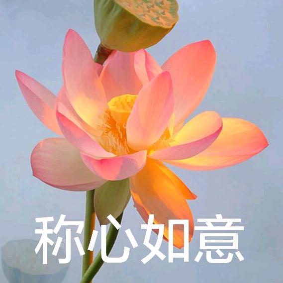 琪上女装工厂店