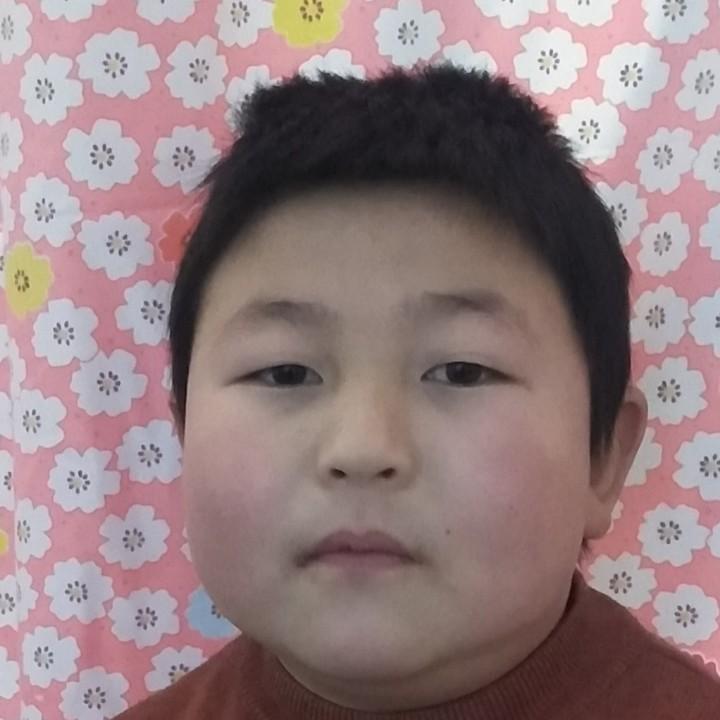 天山雪莲675645864485