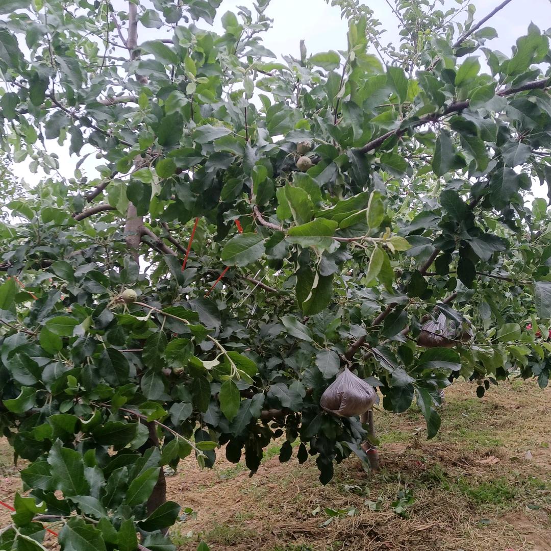 水中月用户520129959317