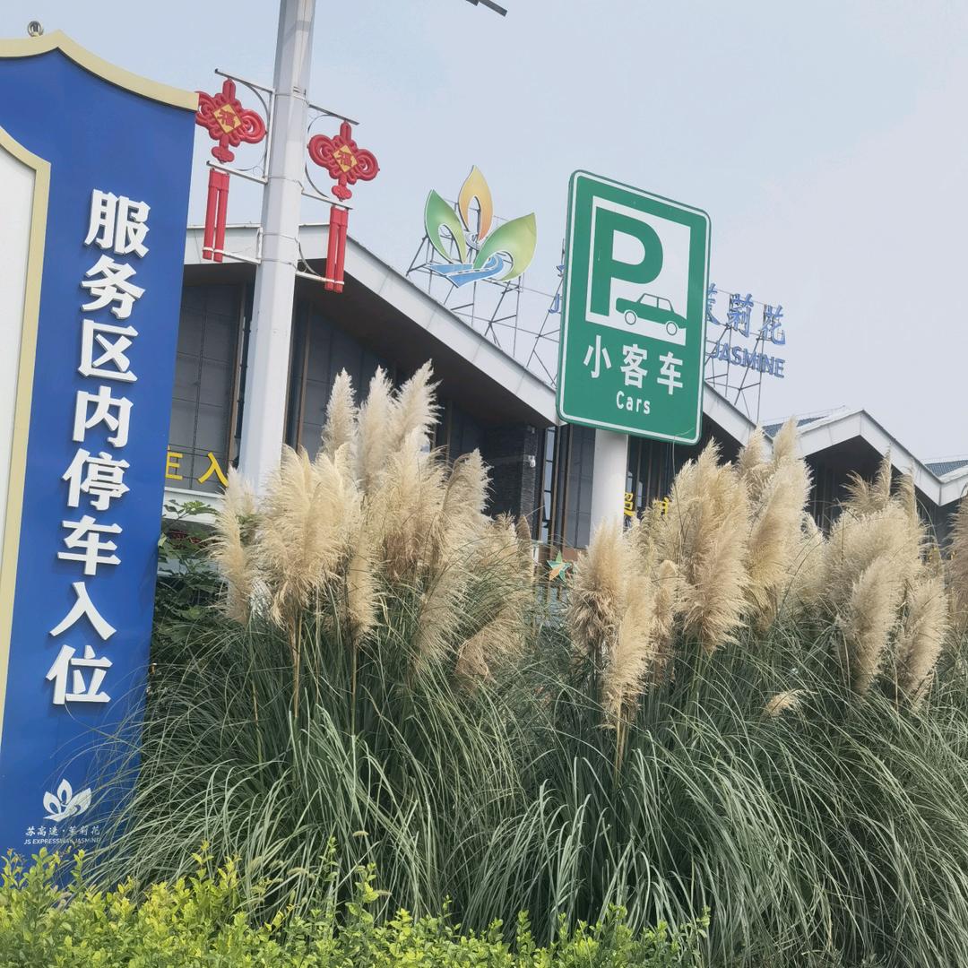 排行老三