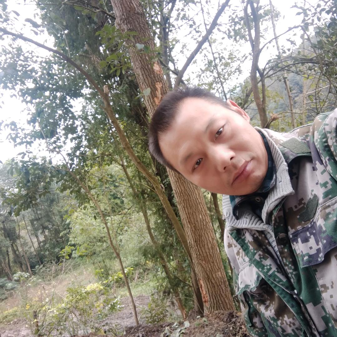 相识就是缘