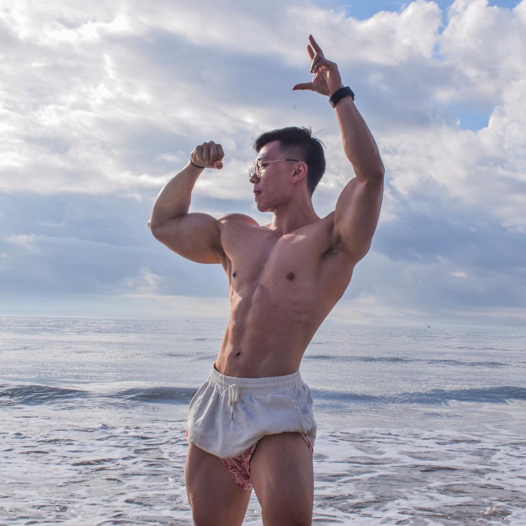 萌新小董