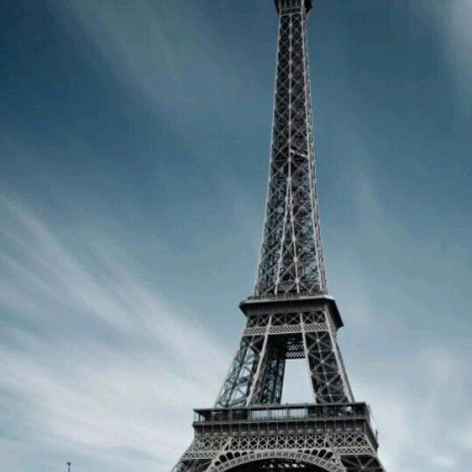 飞天龙凤神州行