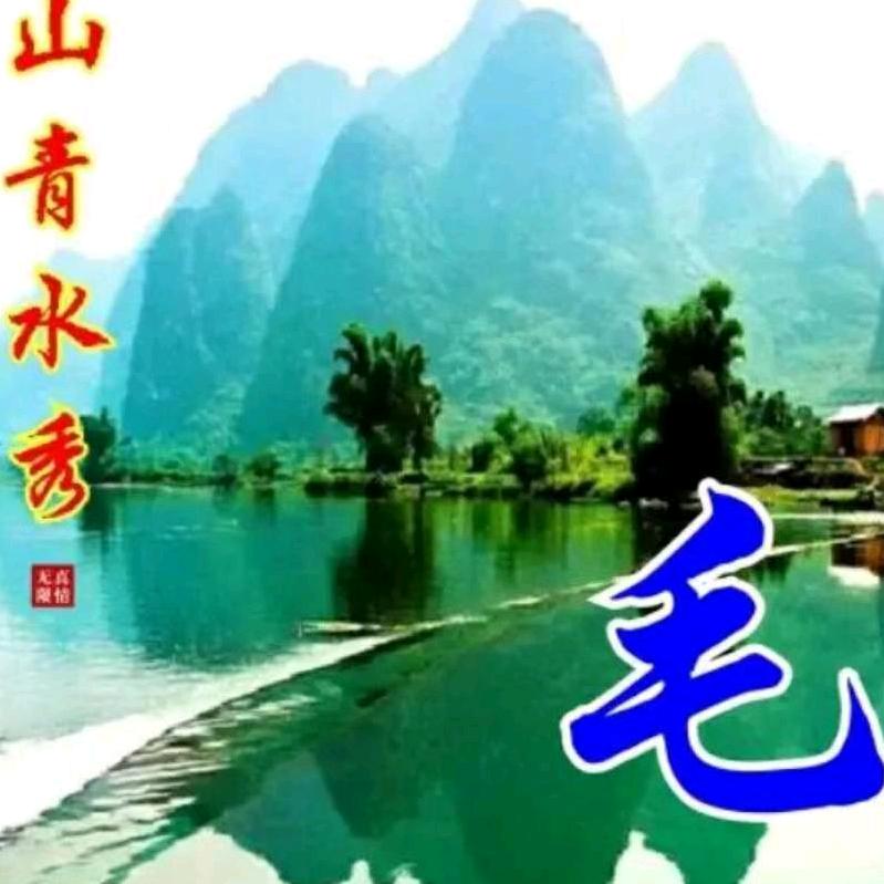 快乐飞翔