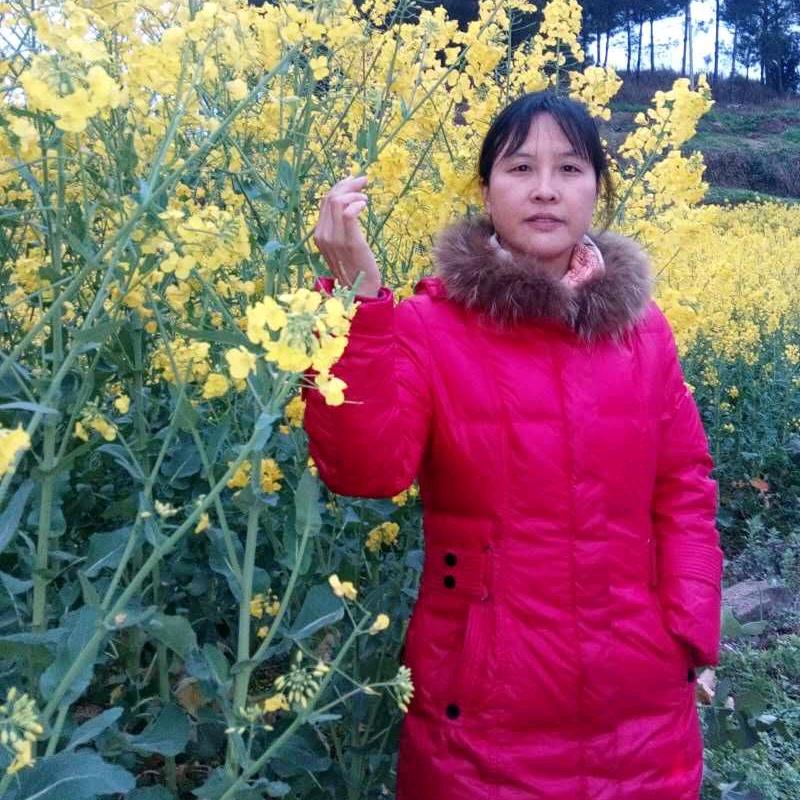 实实在在王二姐