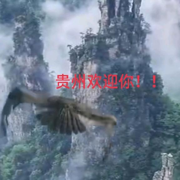 文哥