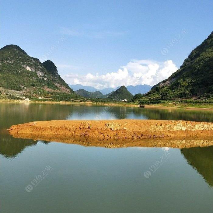 江南鱼小飞