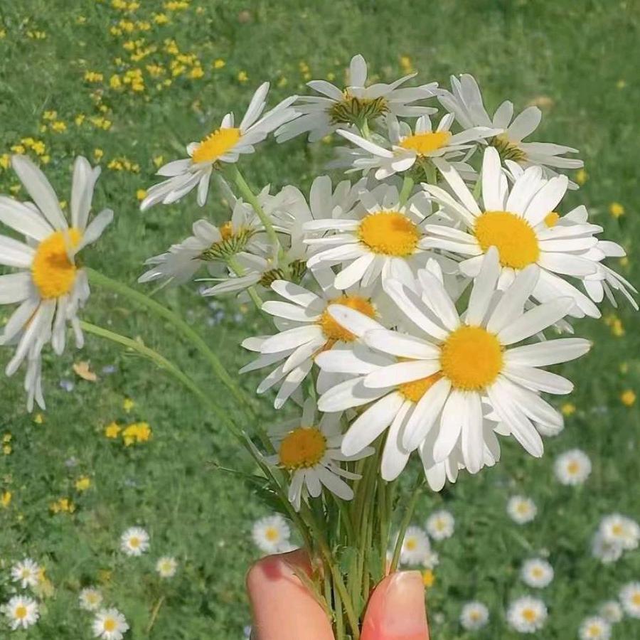 用户7887421909205珍珍