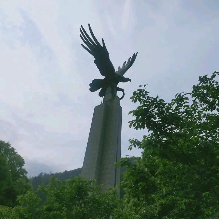 长杆短线入坑