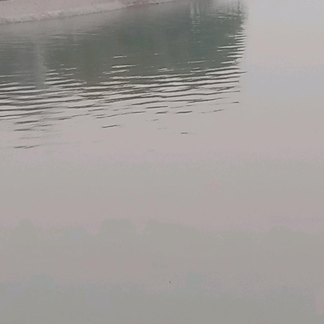 大  海头像