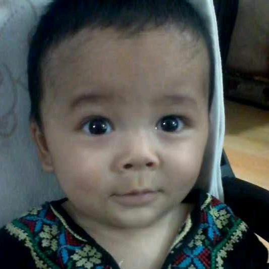 babur