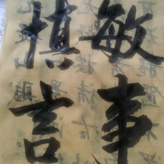 傲雪玉龙