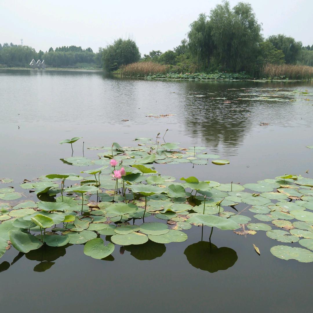 泥土