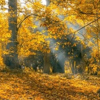 喜欢😍吃的👩👩👩