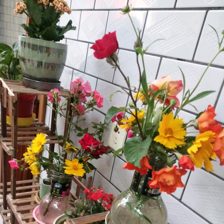慧