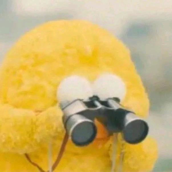 阿柴柴柴柴柴鸭