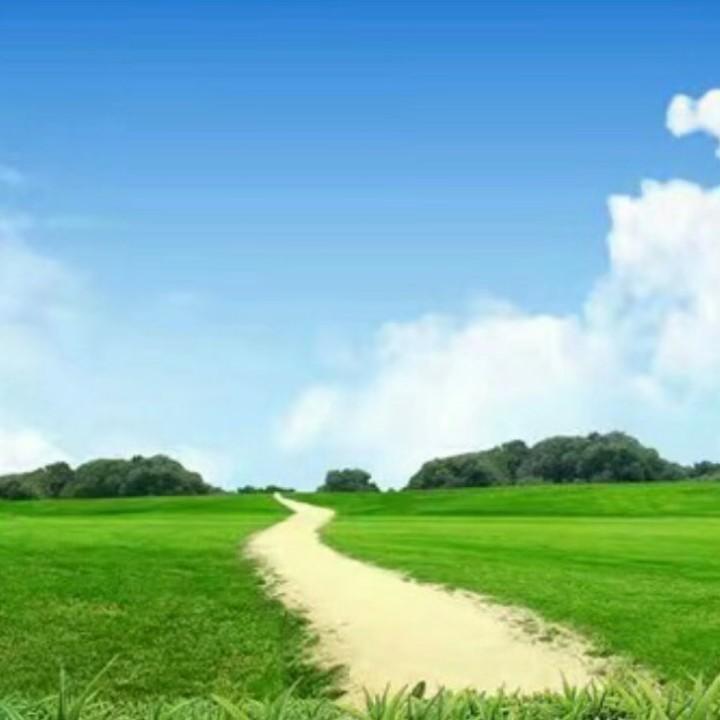 雨后阳光
