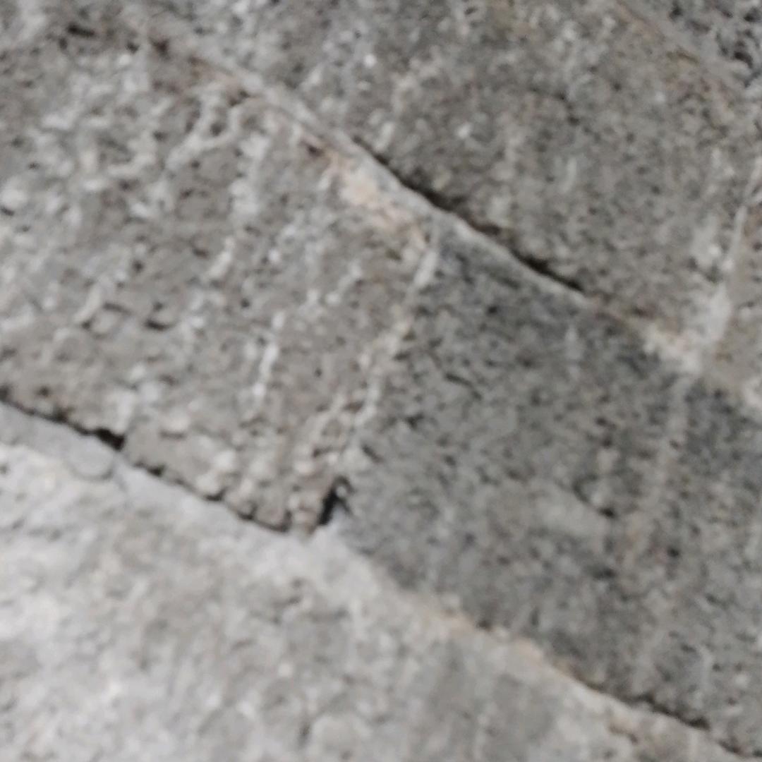 美好的一天的主播
