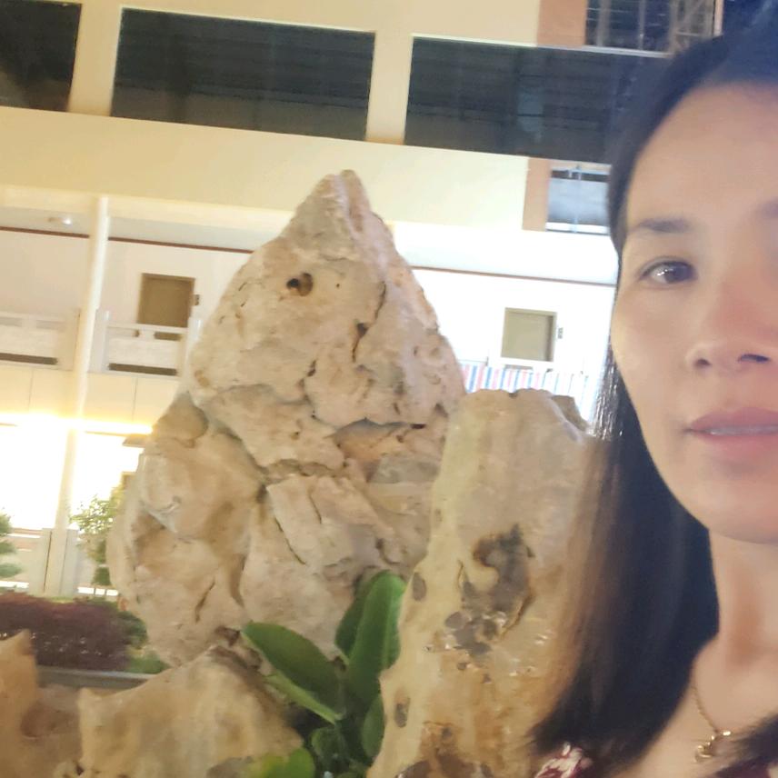 林小珍