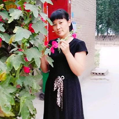 用户丹丹