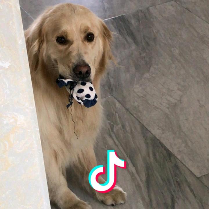 好菇凉光芒万丈、