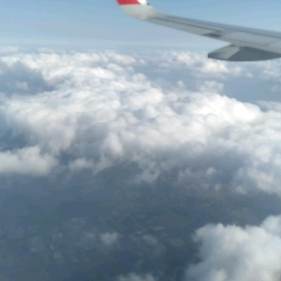 刘建虎