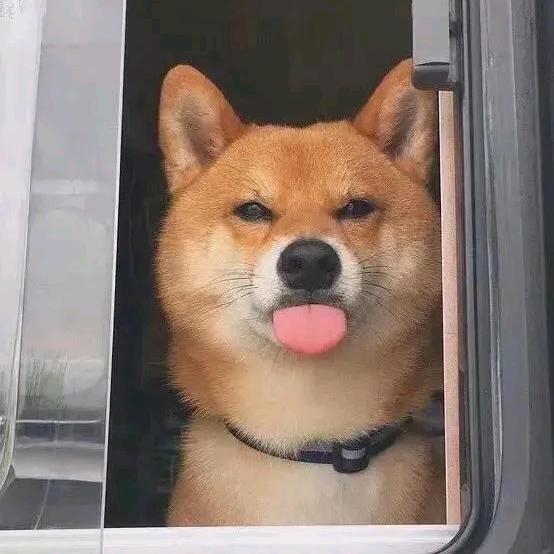 金咕咕.