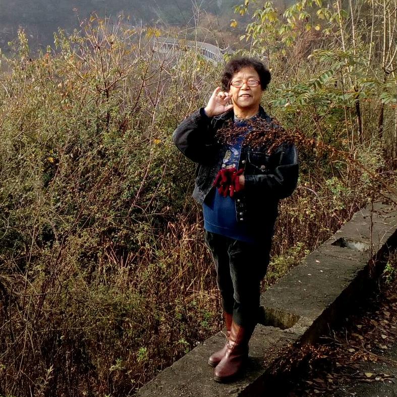 杨紫钰