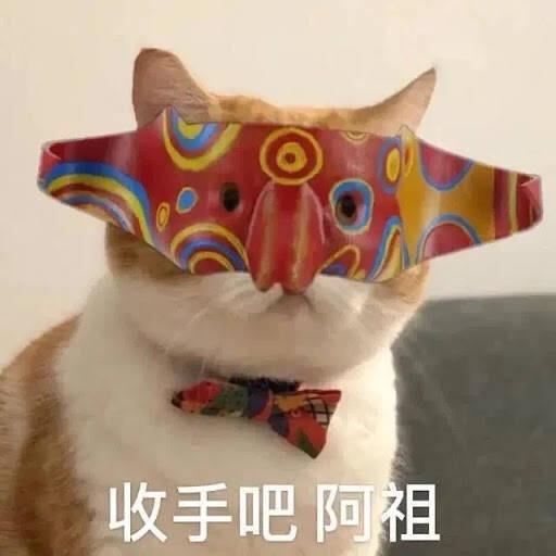 馋猫如此多娇