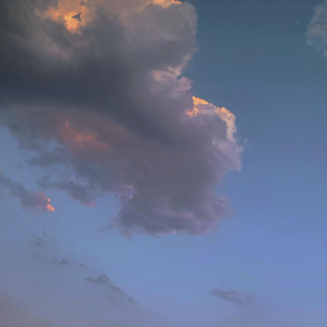 琉璃里的仙人掌