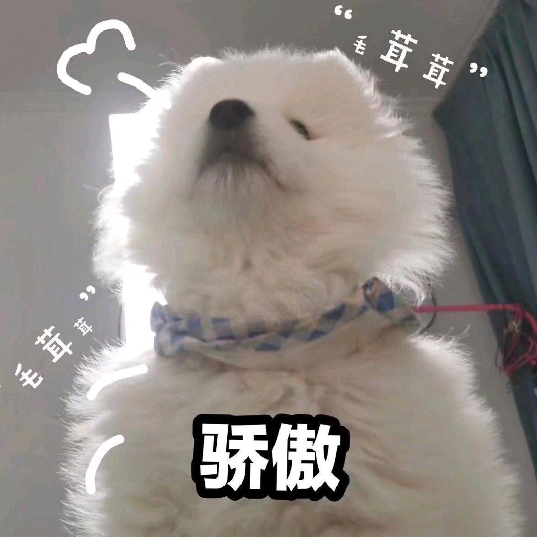 辞丷