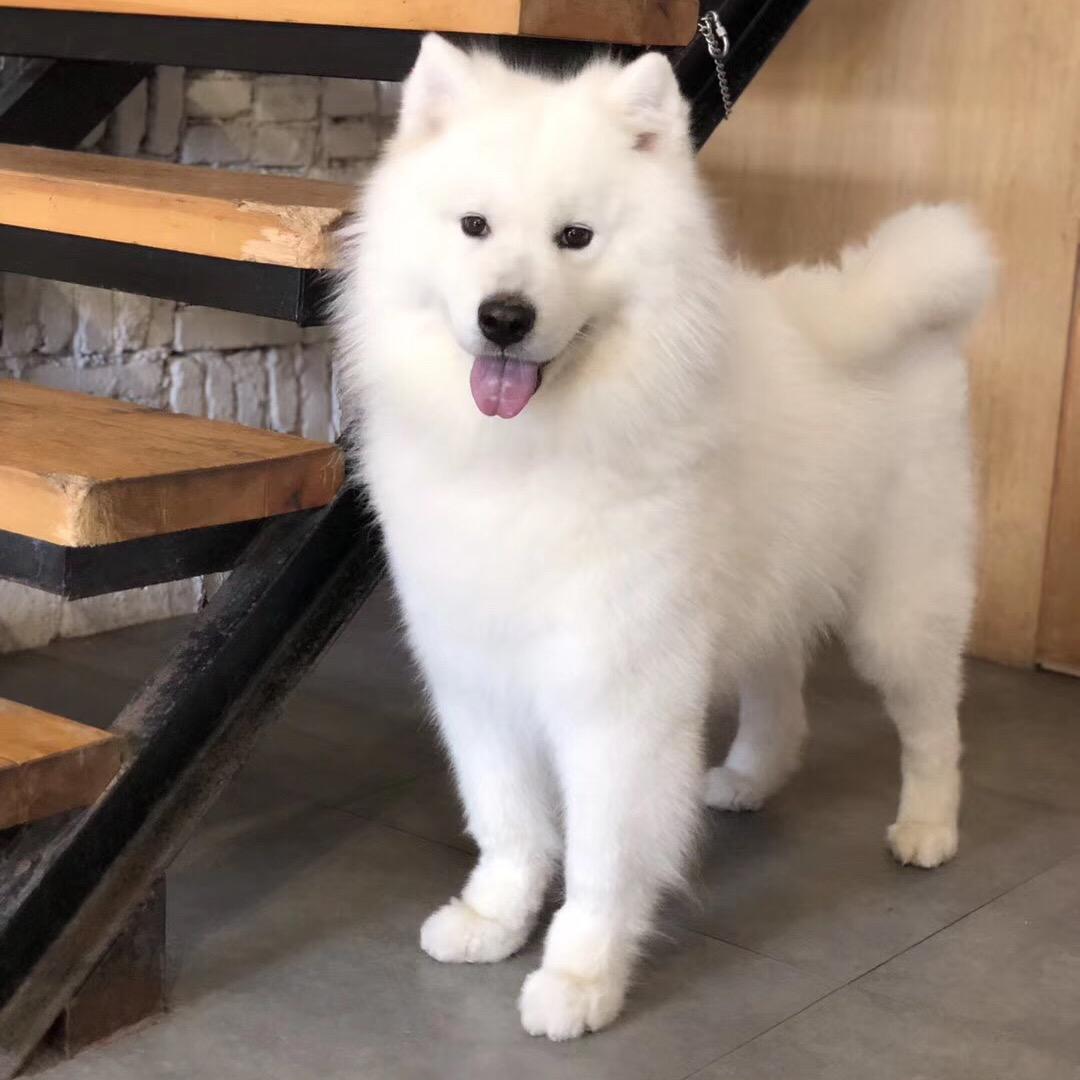 受蚊子🦟欢迎的男人