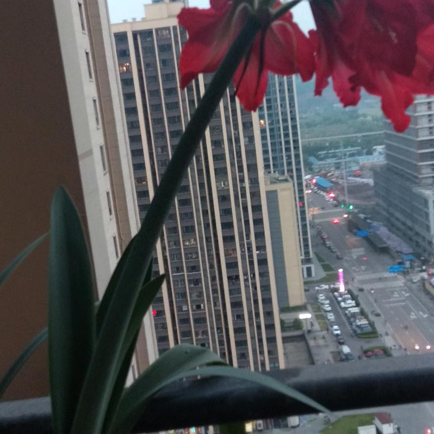 浪迹在天涯
