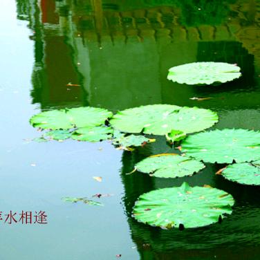 萍水相逢