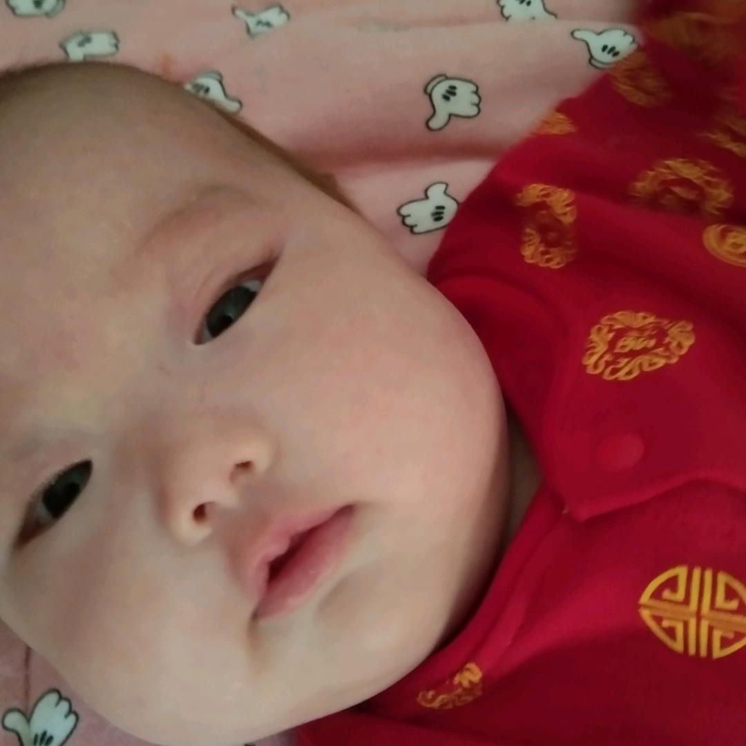 石家庄鹿泉区李村镇西小壁杨建国