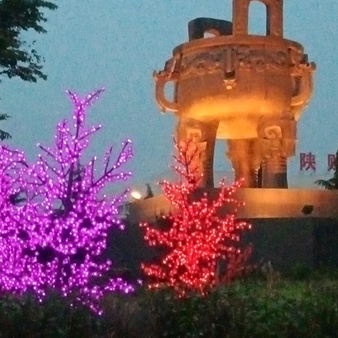 小辰辰🍀