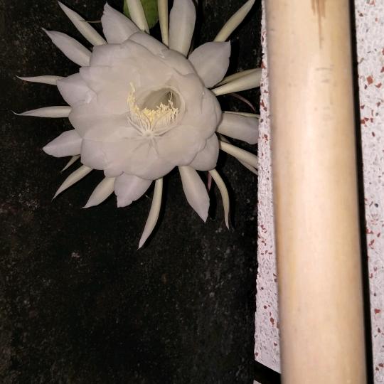 快乐😃（橱窗好物）