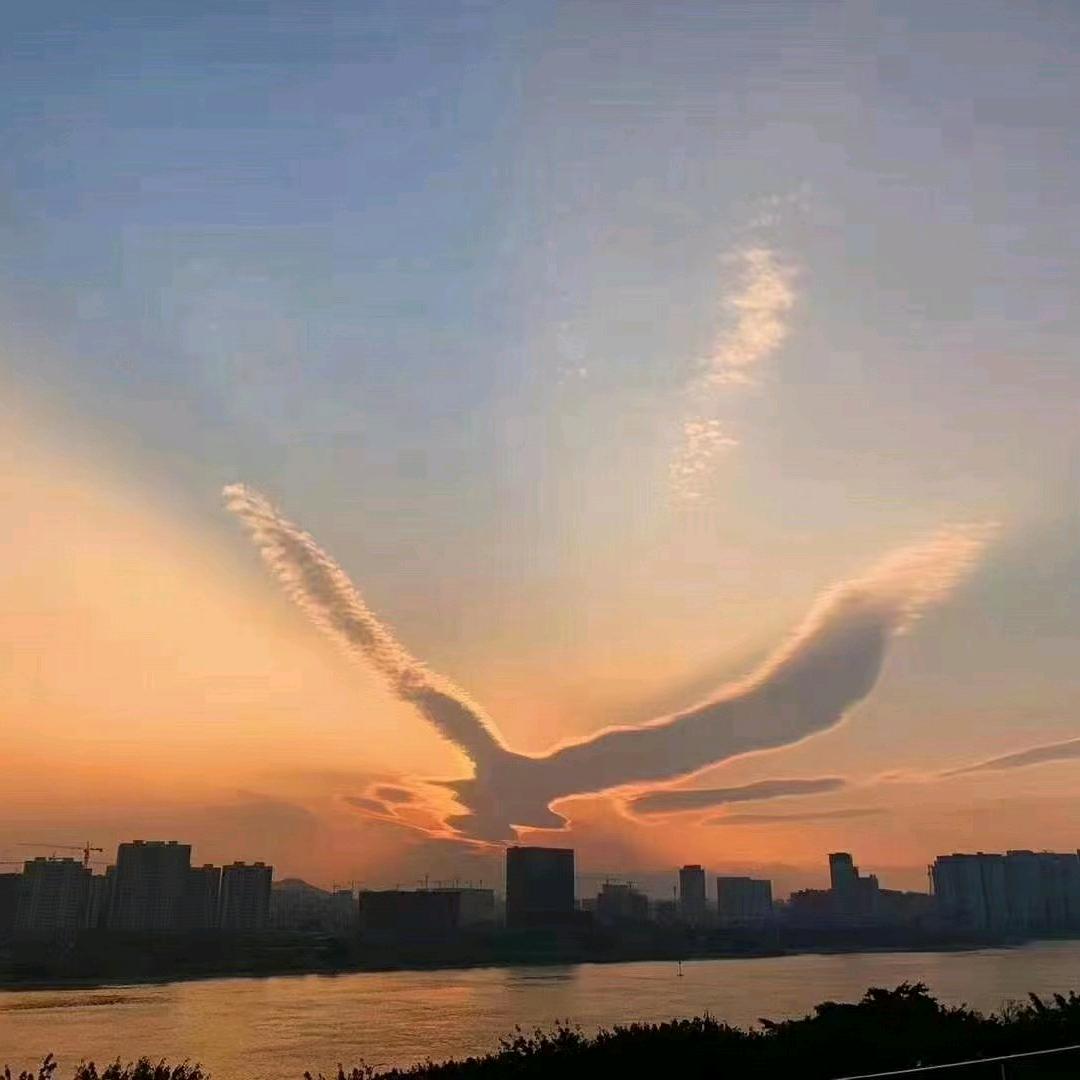 书悦堂主