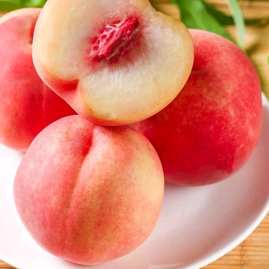 我在等你