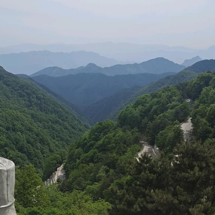 浪子